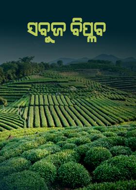 ସବୁଜ ବିପ୍ଳବ