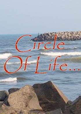 Circle Of Life...
