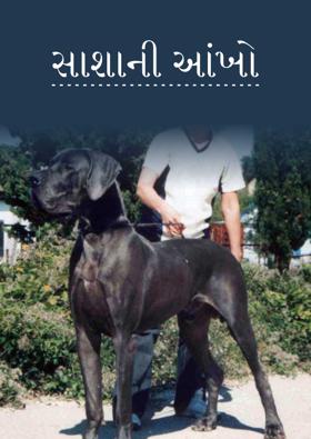 સાશાની આંખો 