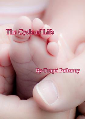 The Cycle Of Life