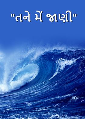 "તને મેં જાણી"