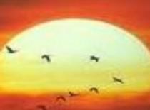 अर्पण कुमार की कविता 'हिस्सा'