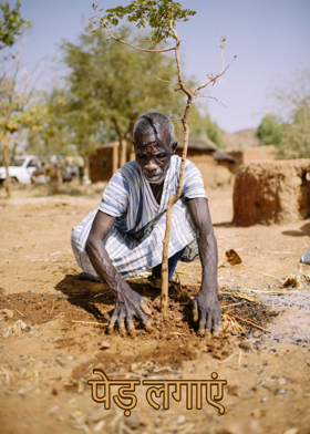 पेड़  लगाएं