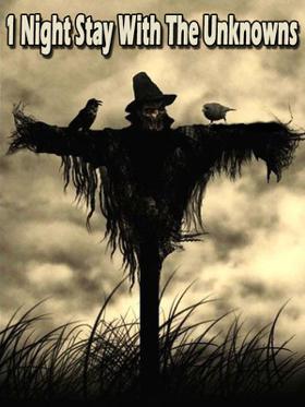 1 Night Stay With The Unknowns