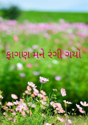 ફાગણ મને રંગી ગયો