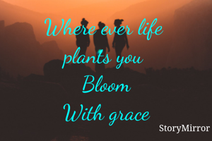 Where ever life 
plants you 
Bloom
With grace
