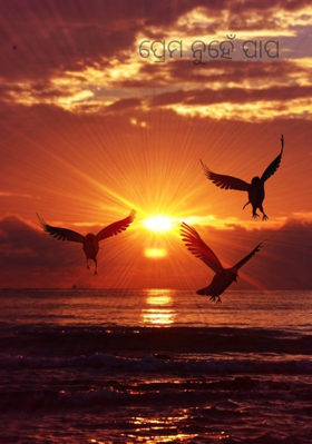 ପ୍ରେମ ନୁହେଁ ପାପ