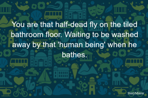 You are that half-dead fly on the tiled bathroom floor. Waiting to be washed away by that 'human being' when he bathes.