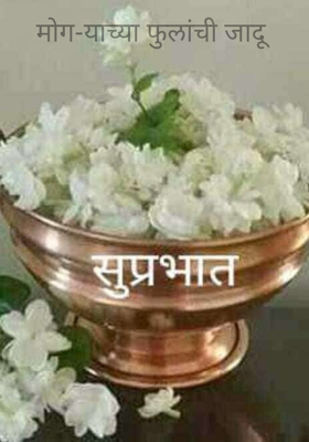 मोग-याच्या फुलांची जादू