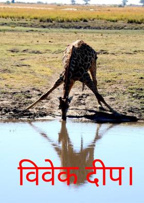 विवेक दीप।