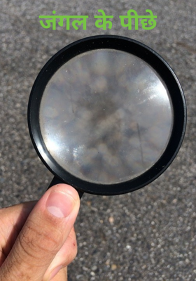 जंगल के पीछे