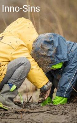Inno-sins