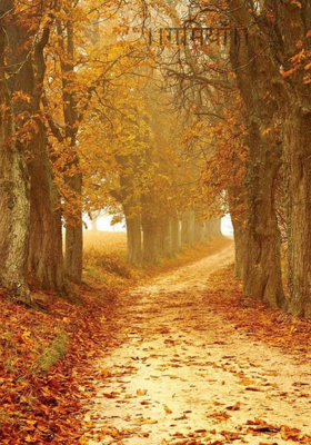 गर्मियाॅ॑