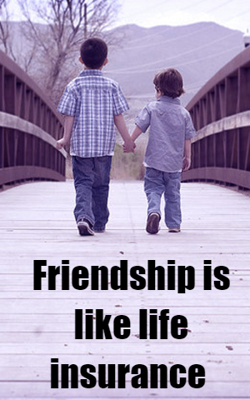 Friendship Is Like Life Insurance