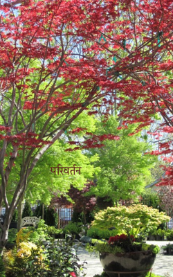 परिवर्तन