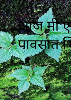 आज मी एकटीच त्या पावसात भिजतेय