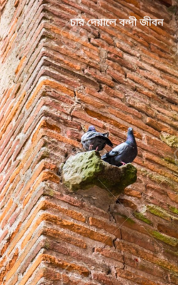 চার দেয়ালে বন্দী জীবন