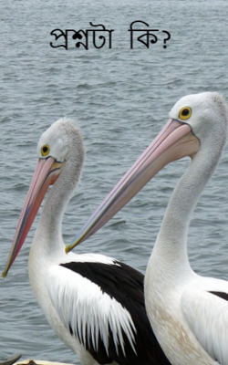 প্রশ্নটা কি?