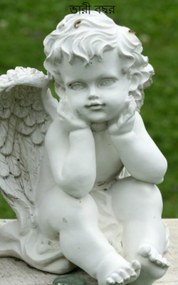 ভারী বছর