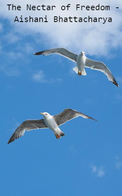 The Nectar Of Freedom - Aishani Bhattacharya