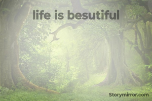 life is besutiful