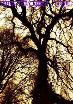 আকবরী মোহর - চতুর্থ পর্ব