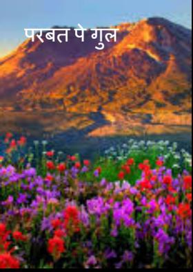 परबत पे गुल