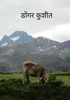 डोंगर कुशीत
