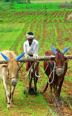 विश्वाला नाचवणारा शेतकरी