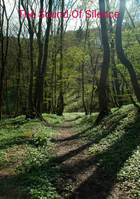 The Sound Of Silence