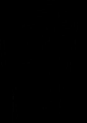 सिंहासन को हिला दो साथी