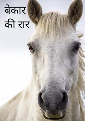 बेकार की रार