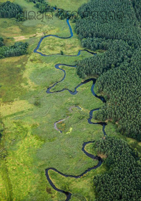 ଯାଇଥିଲି ଦିନେ ଯମପୁରକୁ