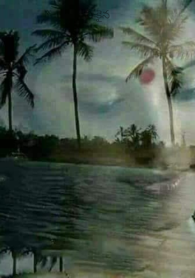 నీ కైన