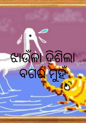 ଝାଉଁଳା ଦିଶିଲା ବଗର ମୁହଁ