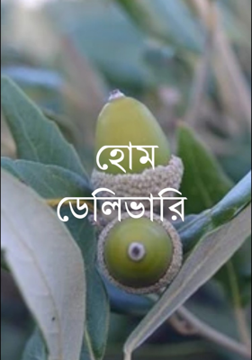 হোম ডেলিভারি