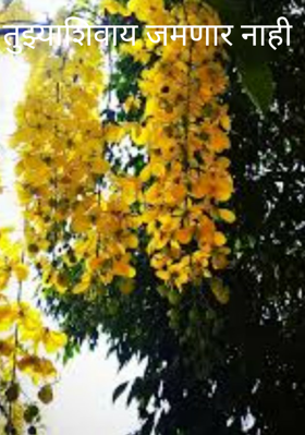 तुझ्याशिवाय जमणार नाही