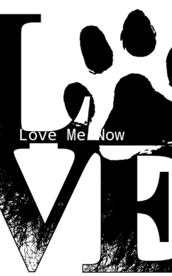 Love Me Now