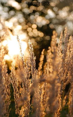 শরতের চিঠি