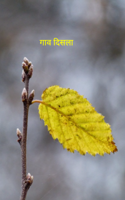 गाव दिसला