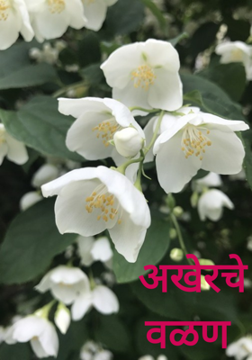 अखेरचे वळण