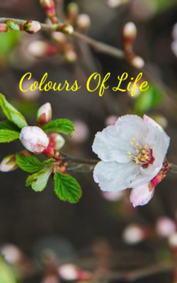 Colours Of Life