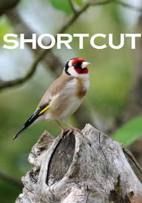 Shortcut
