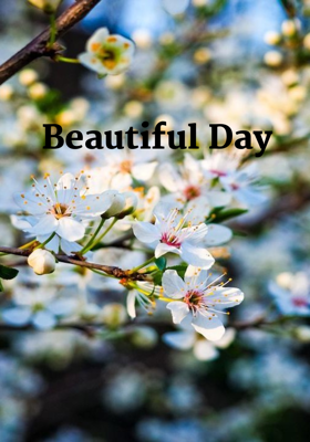 Beautiful Day