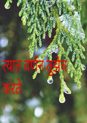 त्यात वर्णन तुझेच करते