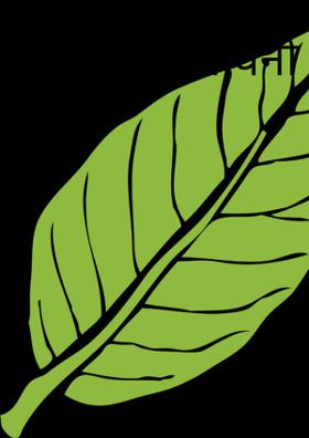 भारत की चेतावनी