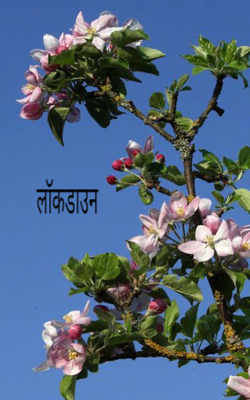 लॉकडाउन