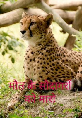 मौत के सौदागरों को मारो