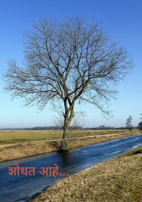 शोधत आहे