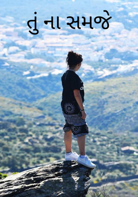 તું ના સમજે